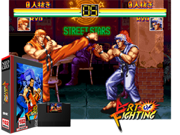 Art of Fighting