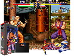 Art of Fighting 2