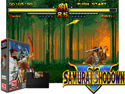 Samurai Shodown 5