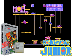Donkey Kong Jr.